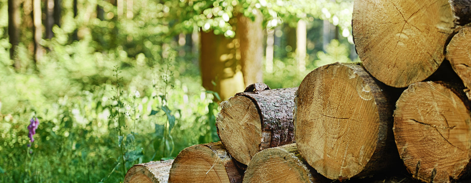 Heizungsmodernisierung